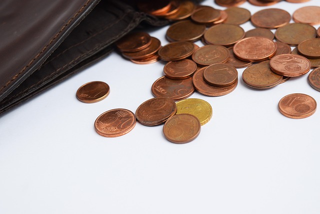 사회초년생을 위한 월급 관리법: 50-30-20 법칙으로 시작하는 재테크