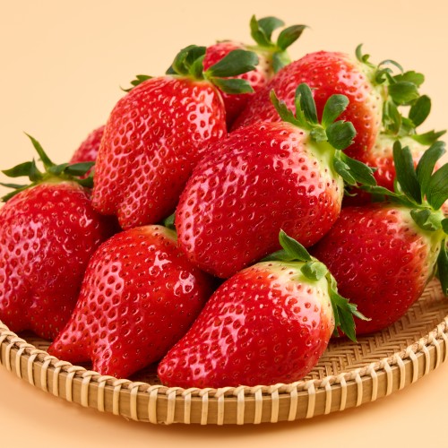 프리미엄 킹스베리 제철 딸기 하우스 고당도 가정용 산지직송 과일 선물세트 설 설날 명절 상세 이미지 2