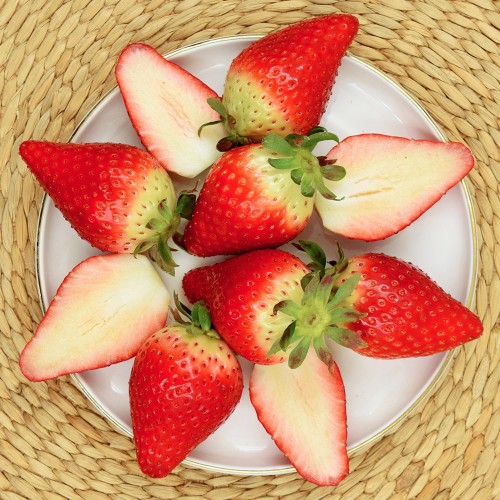 프리미엄 킹스베리 제철 딸기 하우스 고당도 가정용 산지직송 과일 선물세트 설 설날 명절 상세 이미지 8