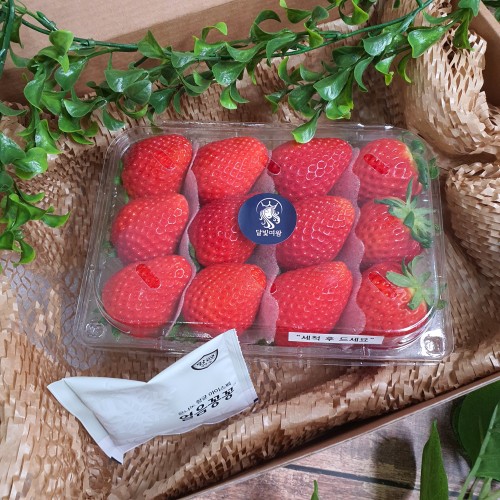 최상급 죽향 금실 딸기 프리미엄 진주금실 명절 과일선물 백화점딸기 상세 이미지 1