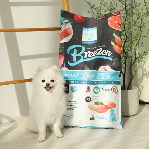 [강아지의날] 브리젠 홀리스틱 어덜트 강아지사료 인섹트 치킨, 5.44kg, 1개 대표 이미지