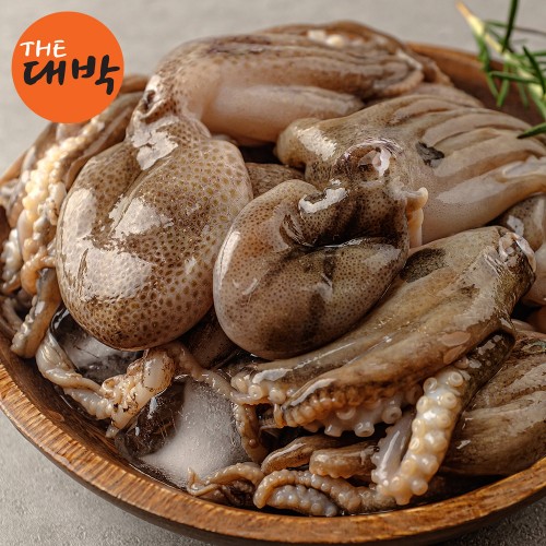 제철 알 주꾸미 급냉 알배기 쭈꾸미 상세 이미지 2