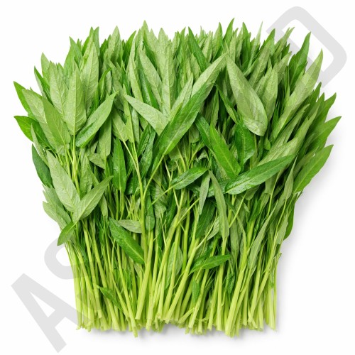 동남아야채 모닝글로리 공심채 볶음 용 나물 1kg, 1개 대표 이미지