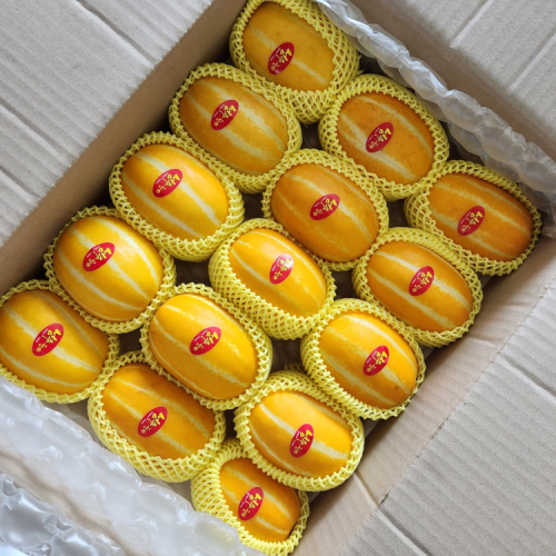 성주참외 꿀참외 고당도 꼬마 소과 특품 3kg 5kg 10kg 친환경 당일수확 산지직송 대표 이미지