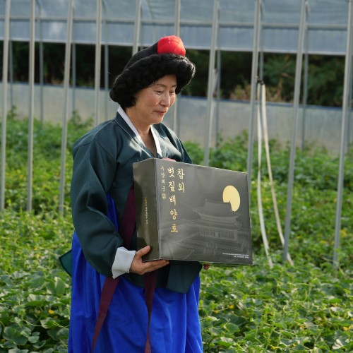 토댁 성주참외 5kg 꼬마참외 프리미엄 못난이 대표 이미지