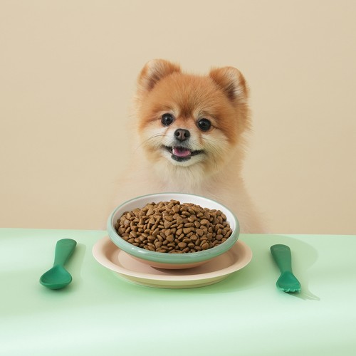 마이펫닥터 강아지사료 시그니처 2.0 가수분해 저알러지 처방식 체중관리, 2kg, 1개 상세 이미지 2