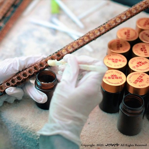 진해양봉 로얄제리 로열젤리 생로얄제리 국산 50g 효능 선물 세트 상세 이미지 3