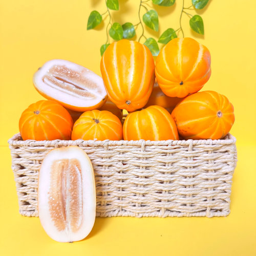 성주 꿀 참외 고당도 제철과일 특품 못난이 가정용 선물용 대표 이미지